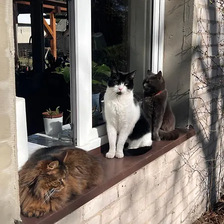 Séjour chez l'habitant Agro-stajnia *