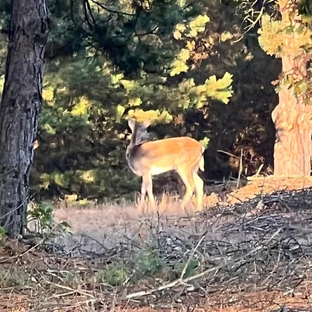 Agro-stajnia * Rudniki (Wolomin)