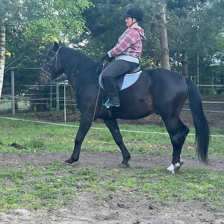 Habitación en casa particular Agro-stajnia Rudniki (Wolomin)