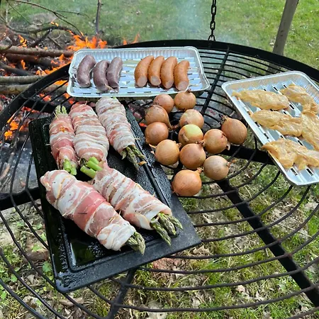 Agro-stajnia Rudniki (Wolomin)