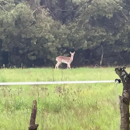 Séjour chez l'habitant Agro-stajnia *