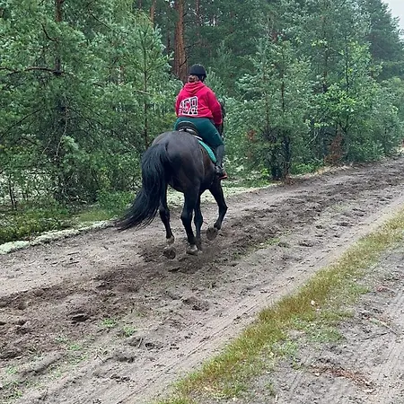 Agro-stajnia Rudniki (Wolomin)