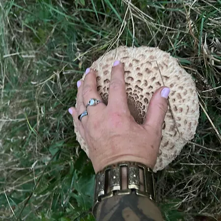 Agro-stajnia Séjour chez l'habitant *