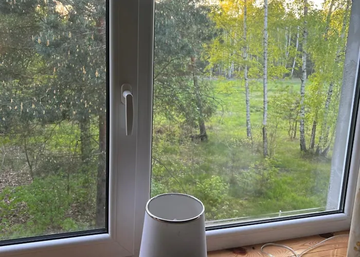 Agro-stajnia * Rudniki (Wolomin)