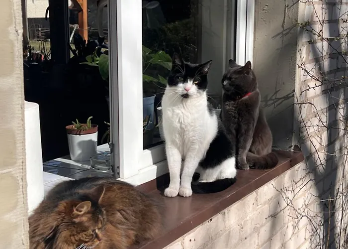 منزل للإقامة Agro-stajnia *