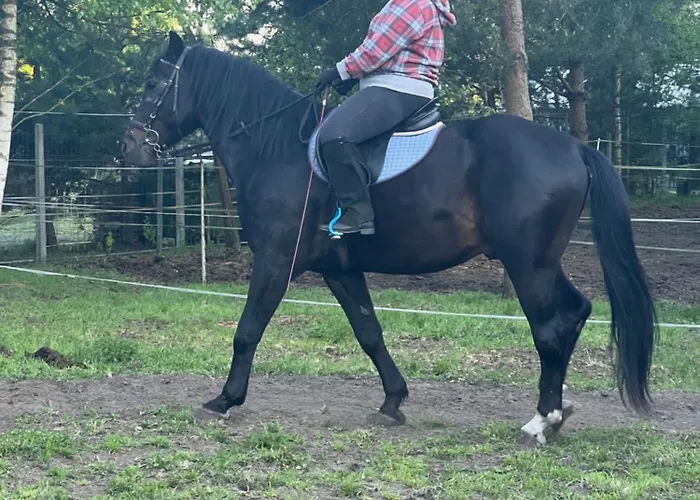 منزل للإقامة Agro-stajnia Rudniki (Wolomin)