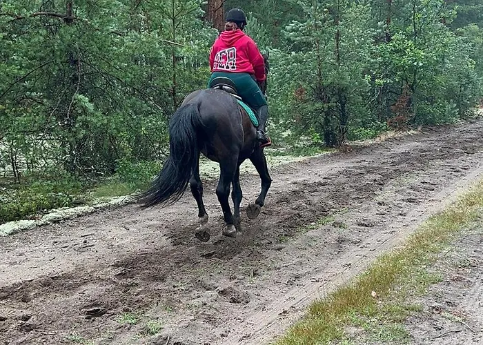 Agro-stajnia Rudniki (Wolomin)