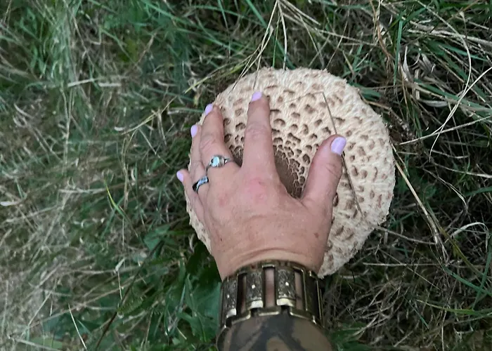 Agro-stajnia בית אירוח *