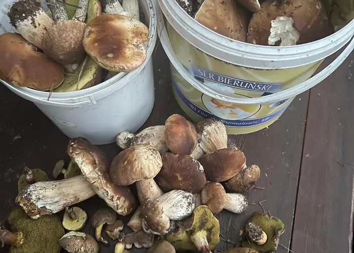 منزل للإقامة Agro-stajnia *